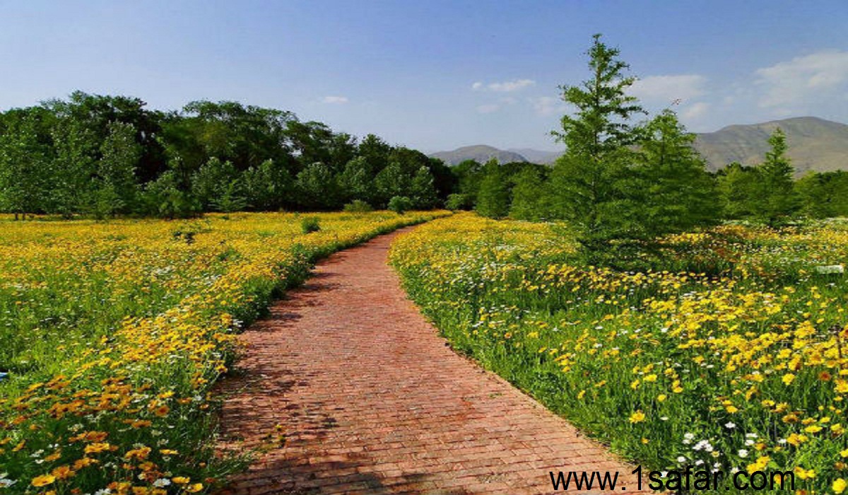 National Botanical Garden of Iran 4